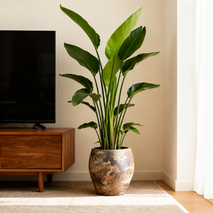 屋外用 大型ヴィンテージ陶器プランター｜庭木・観葉植物用